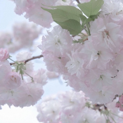 兽设角色性格塑造Furry群